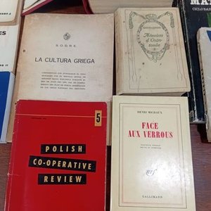 Lote de Libros de Estudio y Diccionarios en Varios Idiomas - imagen 4