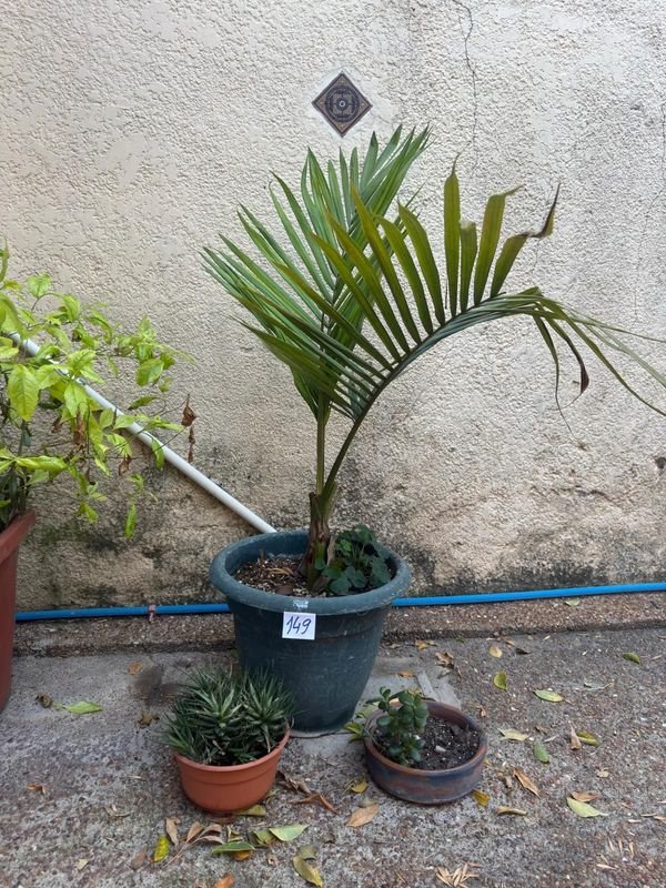 Item 892405 - Image 0