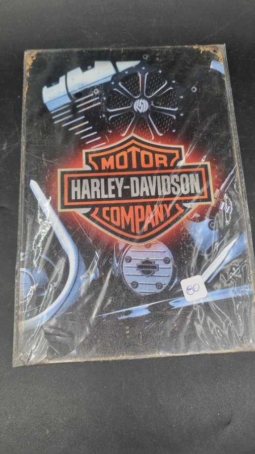 Chapa Decorativa Harley-Davidson Motor Company 30x20 cm