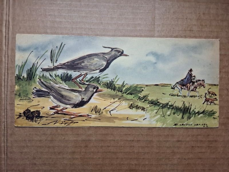 Item 859617 - Image 0