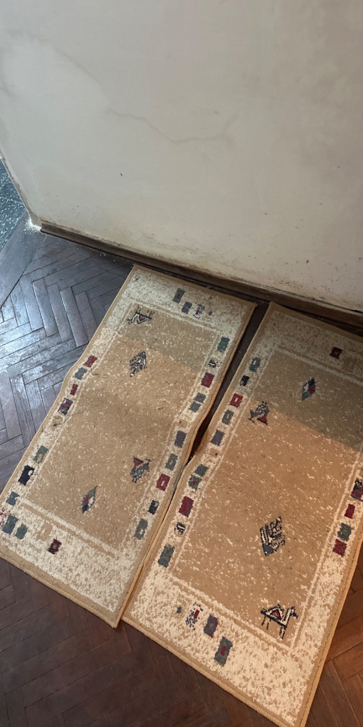 Dos Alfombras Beige con Diseños Geométricos y Figuras