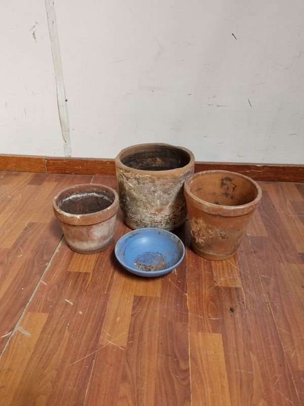 Item 854615 - Image 2