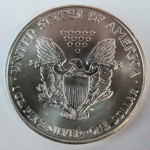 Moneda de Plata "Liberty" 1 Oz, Estados Unidos, 1 Dólar 2004 - imagen 2