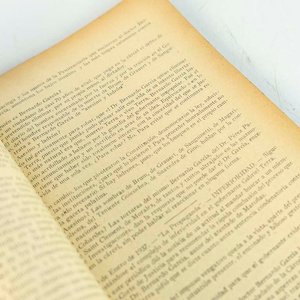 El Libro de las Torturas: Procedimientos Policiales Bajo el Gobierno de Gabriel Terra - imagen 2