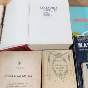 Lote de Libros de Estudio y Diccionarios en Varios Idiomas - imagen 3