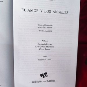 El Amor y los Ángeles de Rafael Alberti - Colección Sureditores - imagen 3