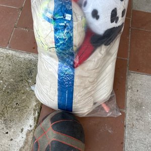 Lote siguiente: Pelota de Básquet y Peluches Varios