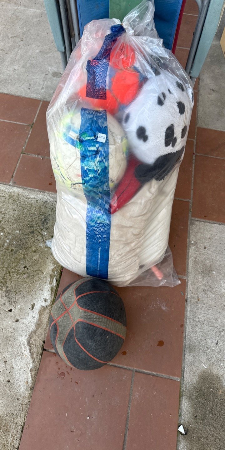 Pelota de Básquet y Peluches Varios