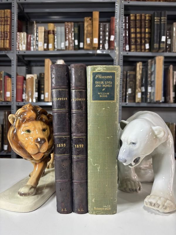 Item 879311 - Image 0