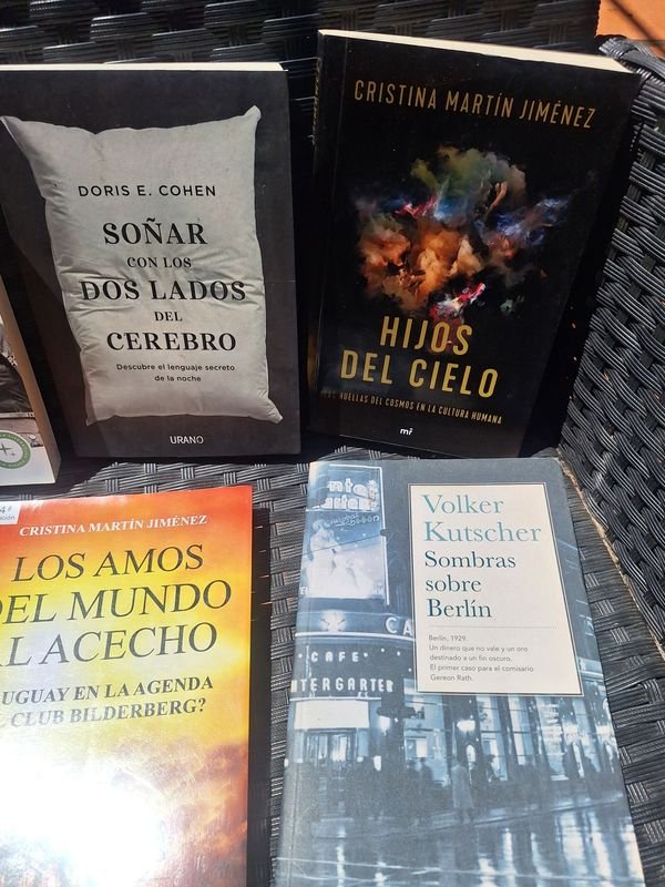 Colección de libros y diccionario en español - imagen 2