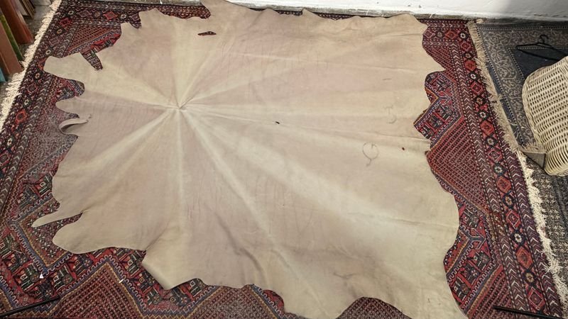 Cuero Beige Entero para Tapicería