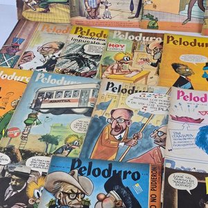 Colección de 24 Revistas Peloduro - Año 1964 - imagen 7