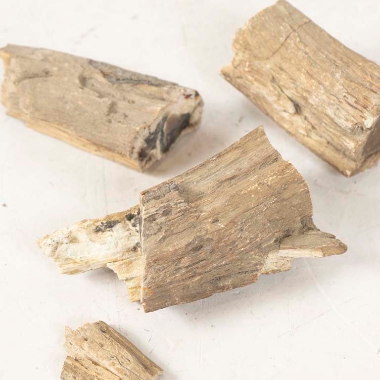 Item 2105552 - Image 1