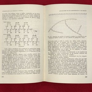 Introducción a la Fisiología Vegetal - Libro de Texto - imagen 3