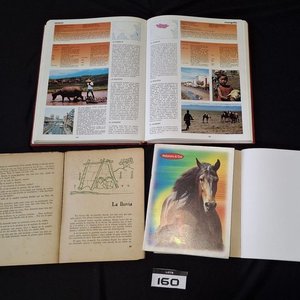 Lote de 14 Libros Educativos, Científicos y de Literatura Clásica - imagen 3