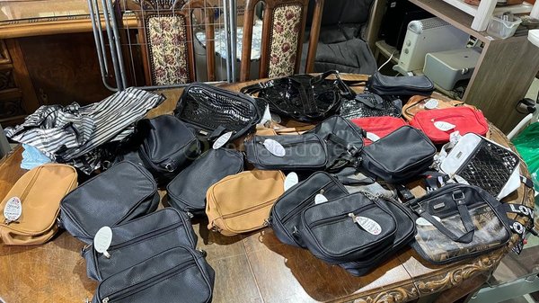 Lote de Carteras y Bolsos de Moda