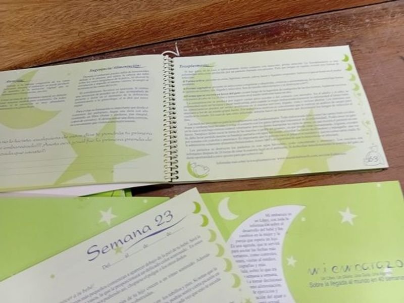 Lotes de agendas para embarazadas - imagen 3