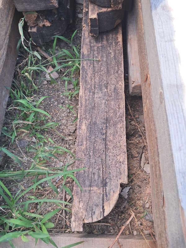 Vigas de madera dura para construcción - imagen 2