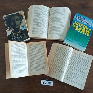 Lote de 10 Libros de Literatura Variada y Novelas - imagen 7