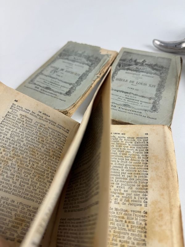 Libro antiguo de Voltaire, editorial Bibliothèque Nationale - imagen 6