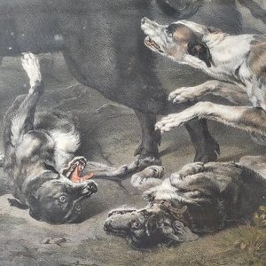 Grabado "Cacería de Jabalí" por Ernest Hanfstangl, con marco dorado y vidrio - imagen 14