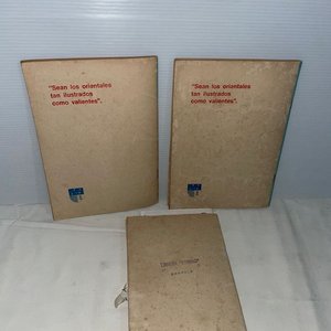 Historia de Colonia: "Del Histórico Partido de las Viboras" - imagen 3