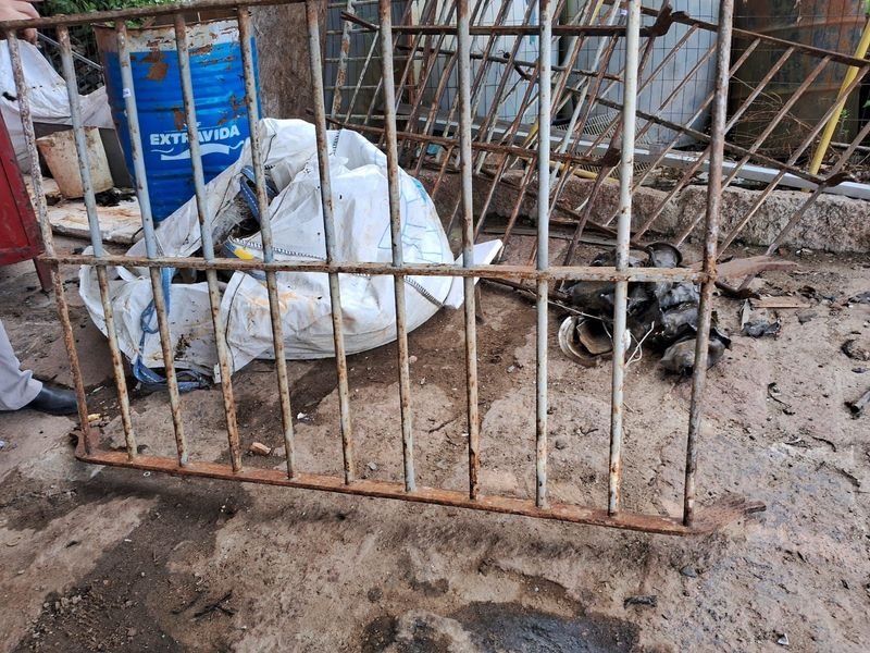 Item 896332 - Image 1