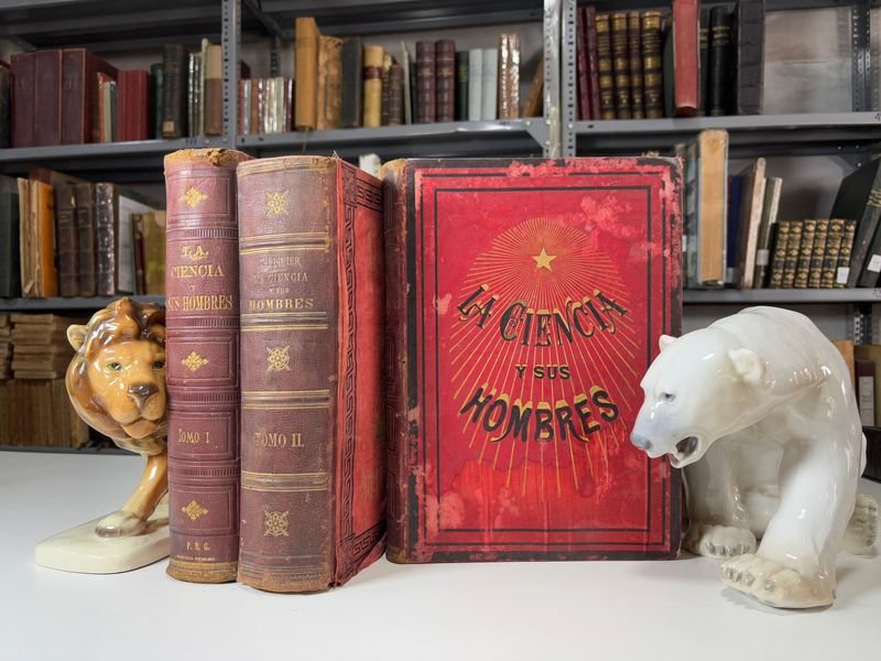 Item 879452 - Image 0