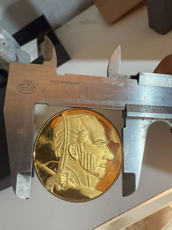 Medalla de la Batalla de Sarandi