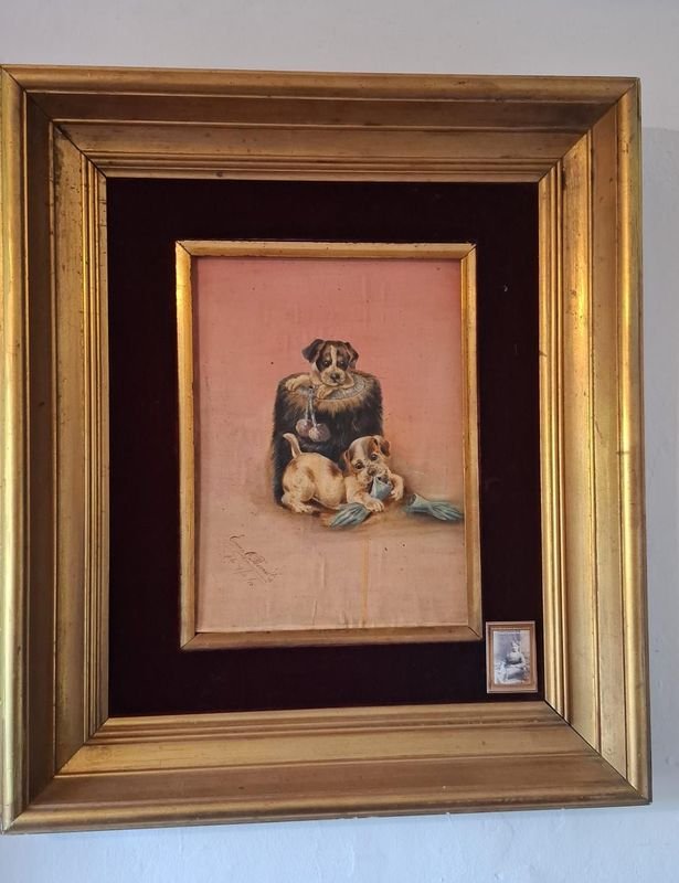 Item 856335 - Image 0