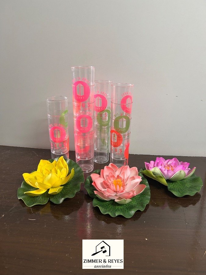 Juego de 5 Vasos Transparentes con Flores Decorativas