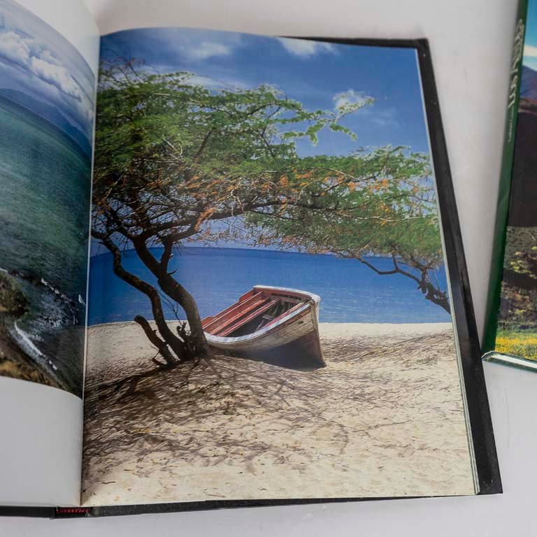 Item 2111801 - Image 1