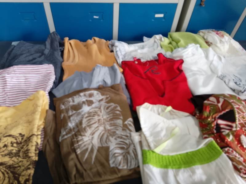Lote de Ropa de Mujer: Remeras, Camisas y Vestidos