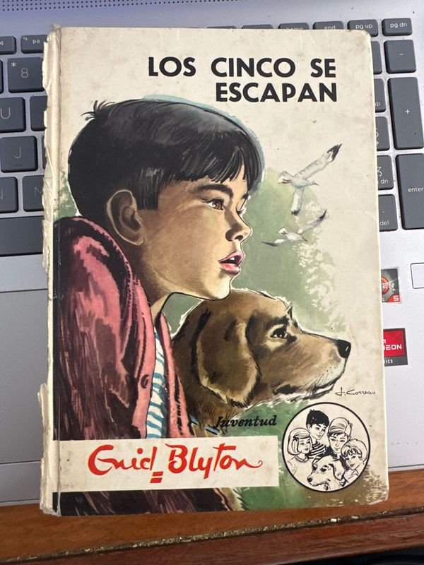 Libro "Los Cinco se Escapan" de Enid Blyton