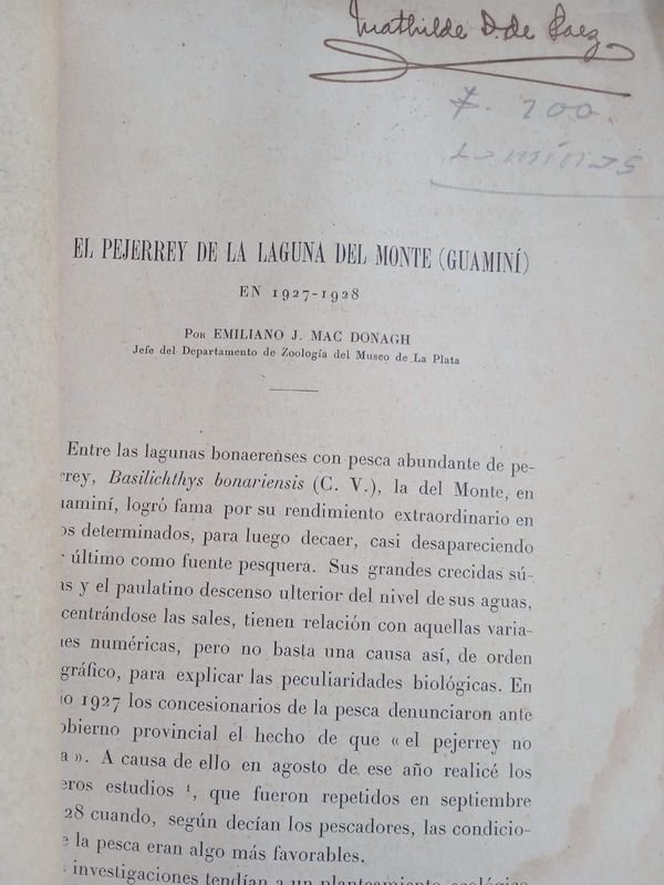 Documento antiguo del Museo del Plata, Argentina - imagen 3