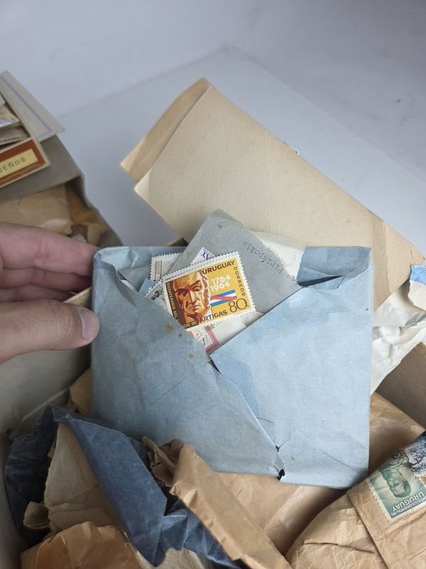 Item 872044 - Image 8