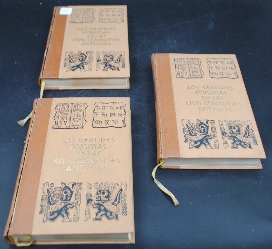 Lote anterior: Libro de Enigmas Antiguas - Edición en Cuero