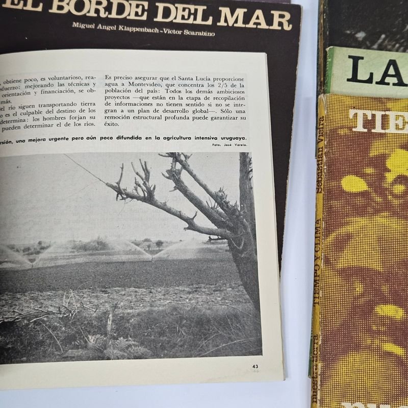 Item 892070 - Image 4