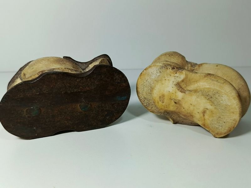 Par de tabas antiguas en hueso con apliques de hierro forjado - imagen 2