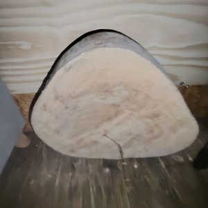 Tapa de Tronco de Madera para Mesa o Superficie - imagen 4