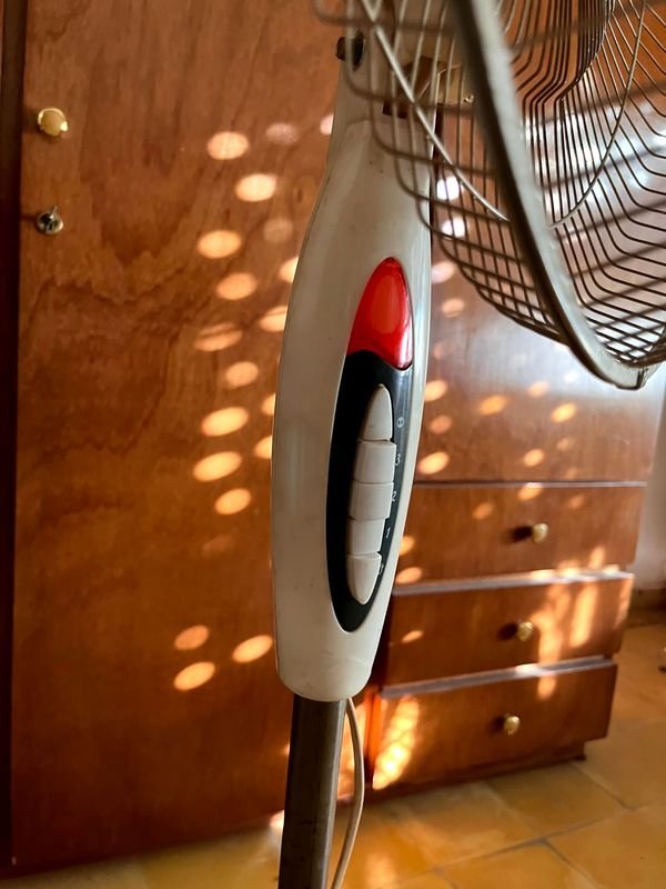 Item 875059 - Image 4