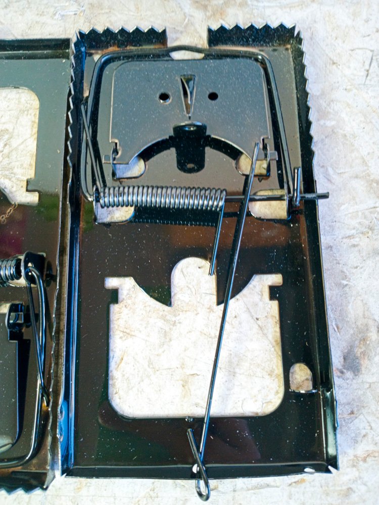 Item 491988 - Image 1