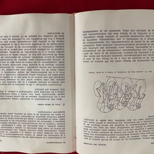 Libro "La Técnica del Ciclismo" - Manual para Aprender a Correr en Bicicleta - imagen 4