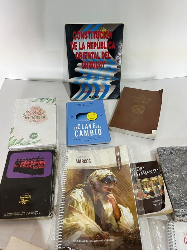 Item 848027 - Image 5