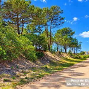 Terreno en Punta del Diablo con Vista al Mar, 510 m2, a 5 Cuadras de Playa La Viuda - imagen 4