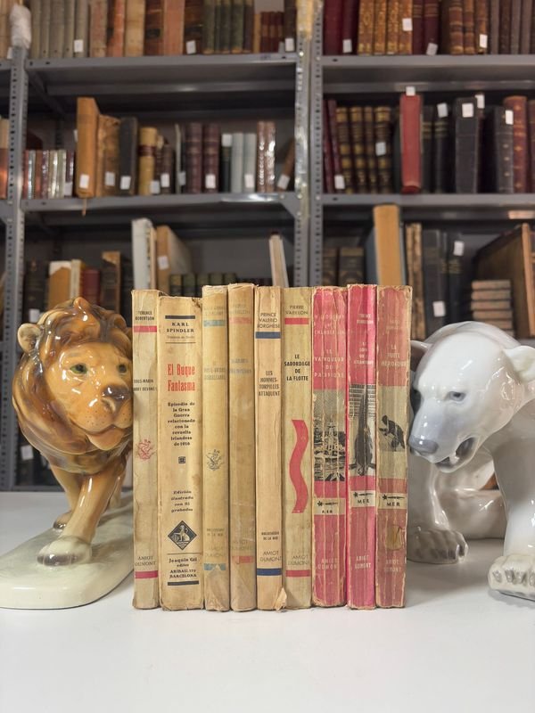 Item 885479 - Image 1