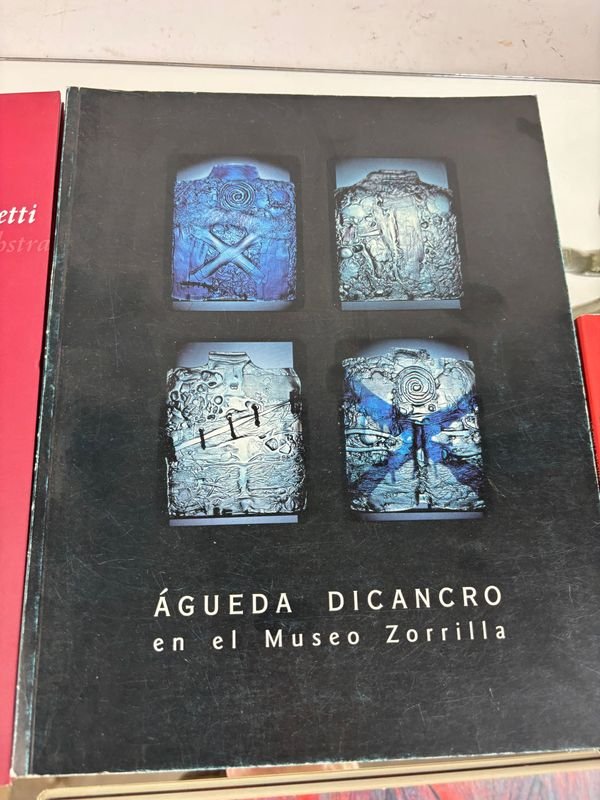 Colección de libros y catálogos de arte contemporáneo uruguayo - imagen 3