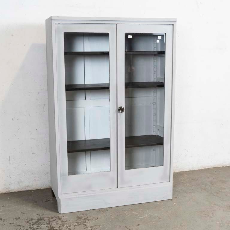 Vitrina Gris de Dos Puertas de Vidrio con Detalles y Averías