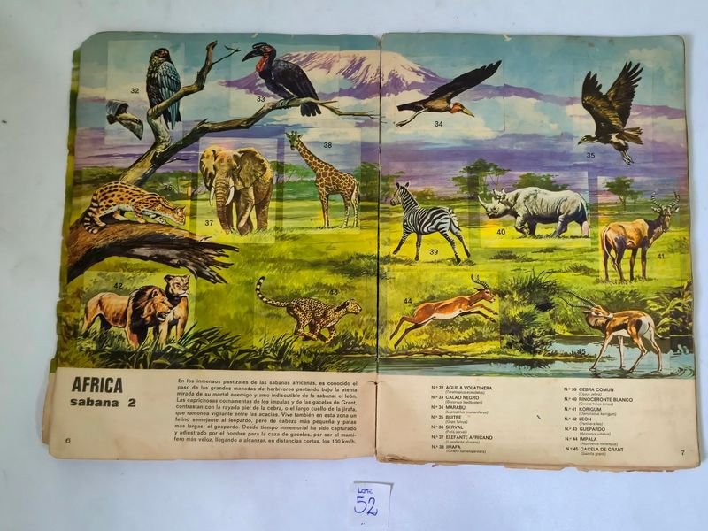 Item 844753 - Image 3