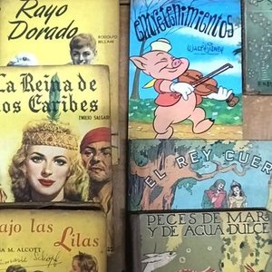 Lote de Libros Infantiles Clásicos con Tapa Dura - imagen 5